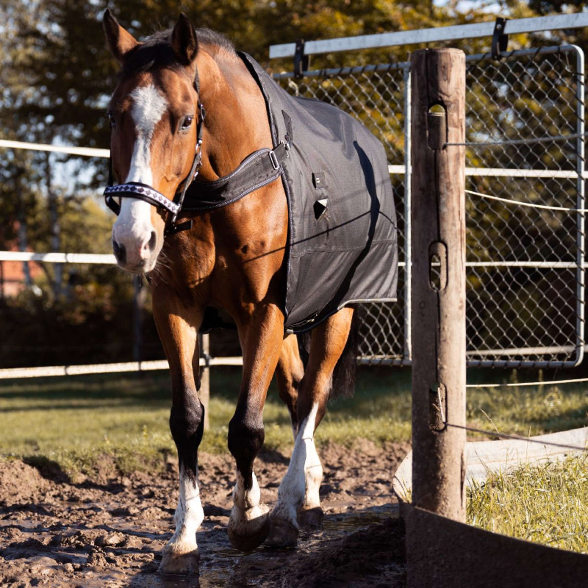Kavalkade Manta Turnout / Moldeadora Halifax 2en1 200g Negro