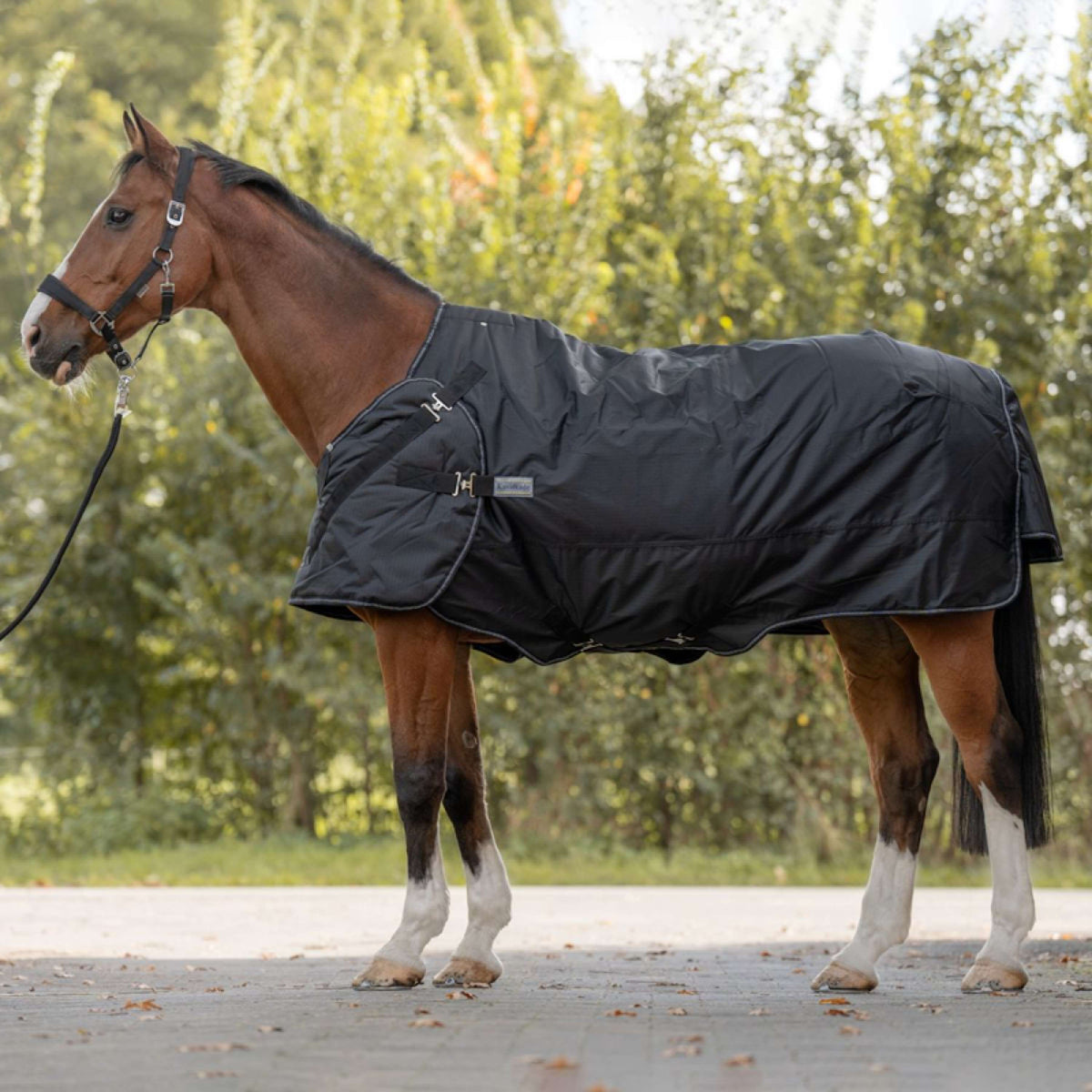 Kavalkade Manta Turnout / Moldeadora Halifax 2en1 200g Negro