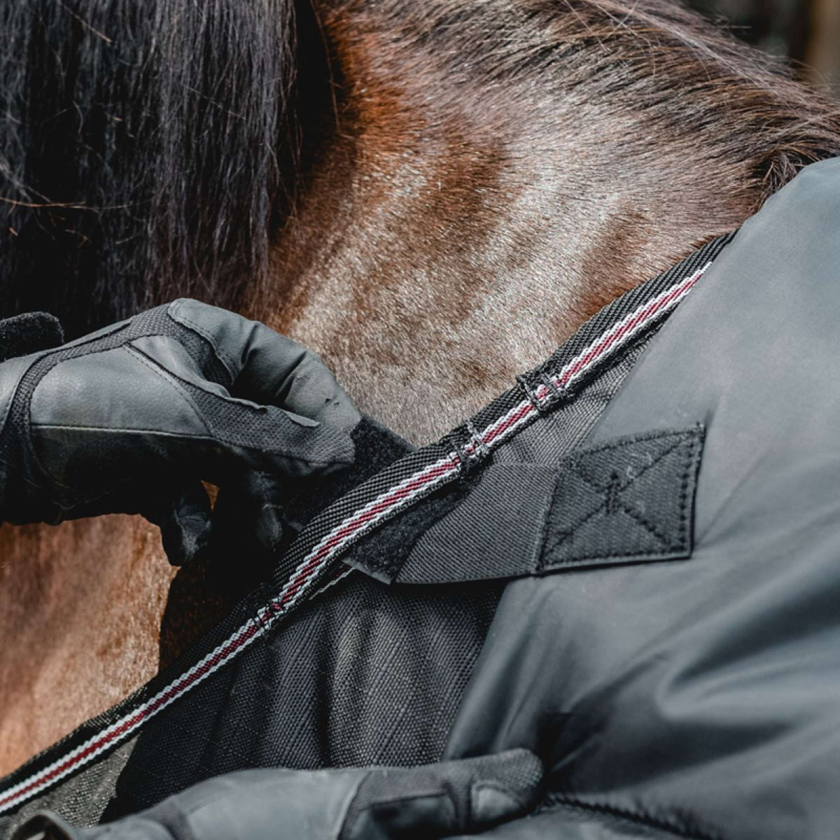 Kavalkade Cubrecuellos Iceland 50g Negro/Negro/Burdeos/Gris