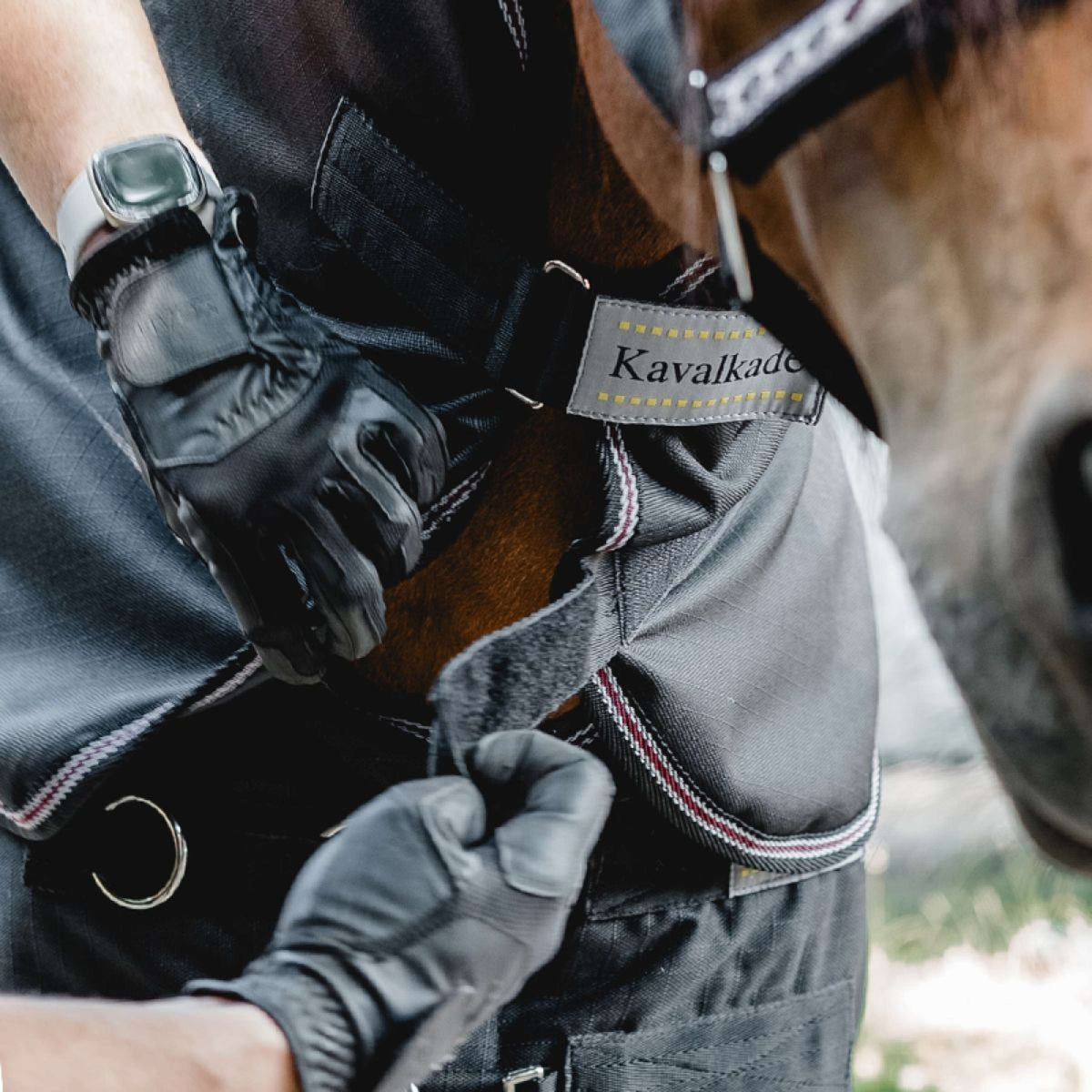 Kavalkade Cubrecuellos Iceland 50g Negro/Negro/Burdeos/Gris