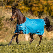 Kavalkade Alfombra de Exterior Alaska IV 300g Gasolina/Gasolina/Burdeos/Blanco