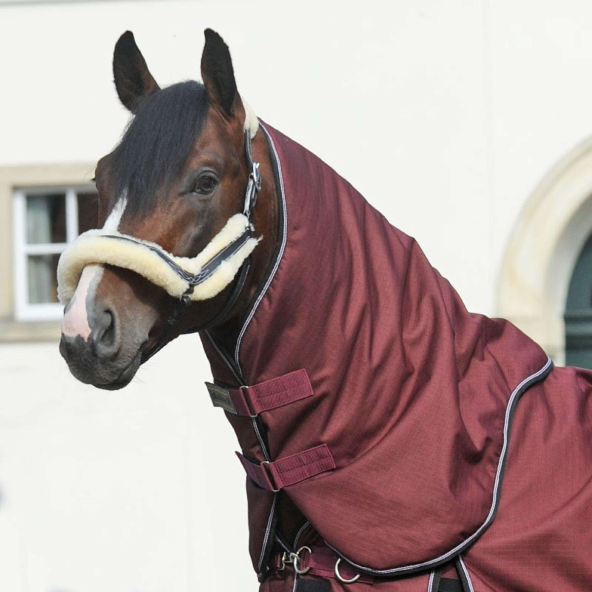 Kavalkade Cubrecuellos Alaska IV 100g Bordeaux