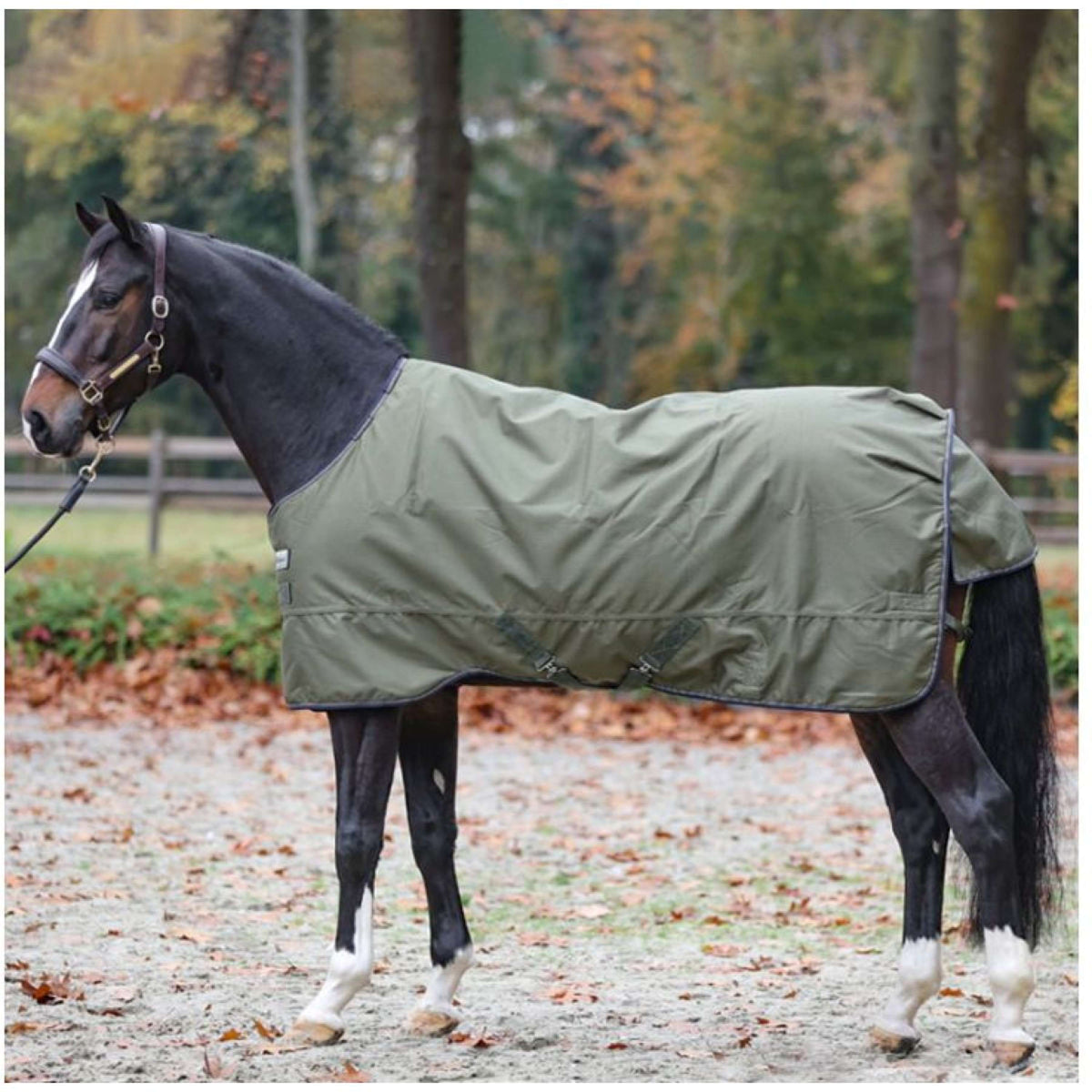 Kavalkade Alfombra de Exterior Montreal 100g Verde