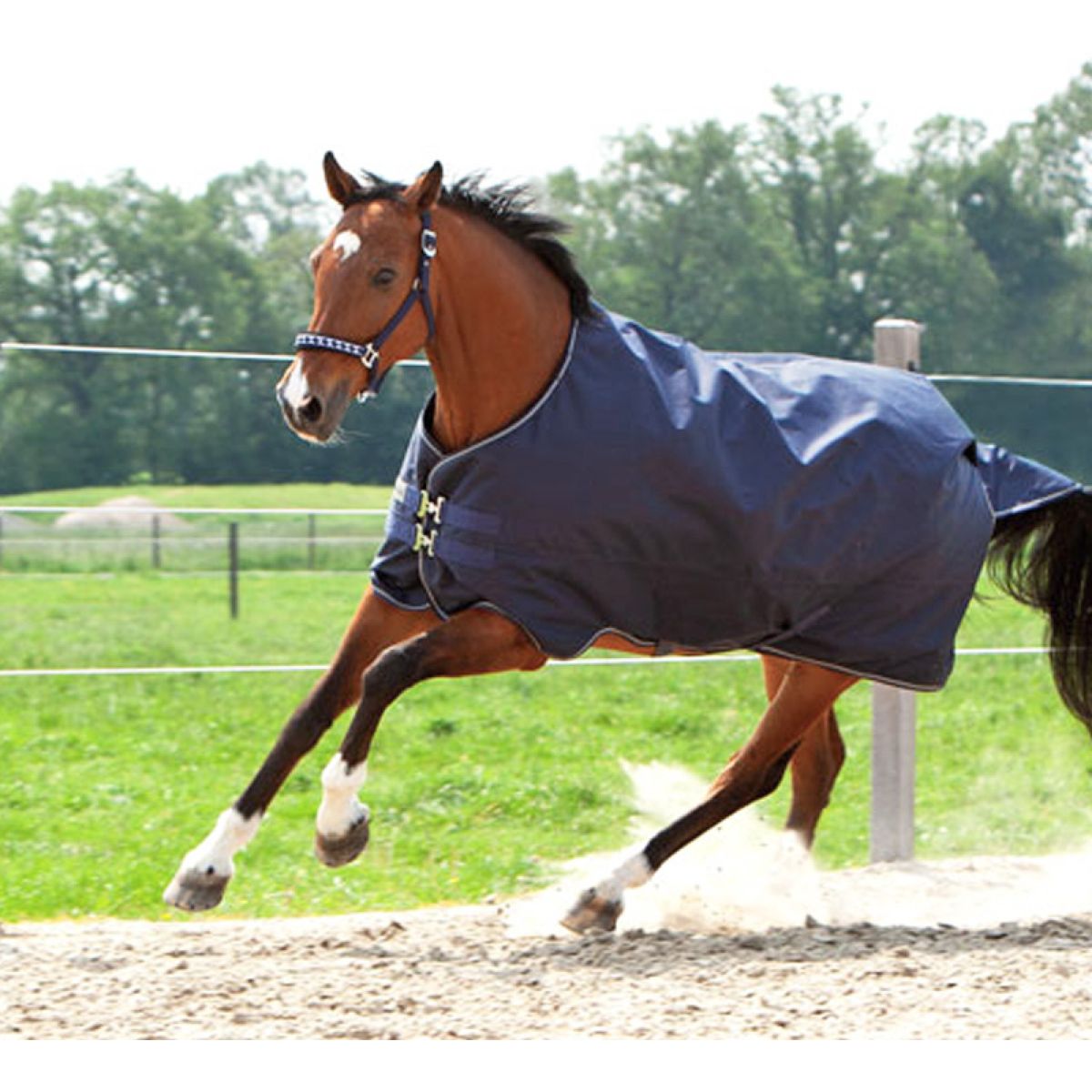 Kavalkade Alfombra de Exterior Montreal 200g 200g Navy