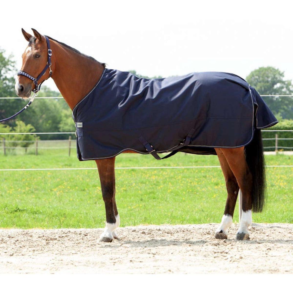 Kavalkade Alfombra de Exterior Montreal 200g 200g Navy