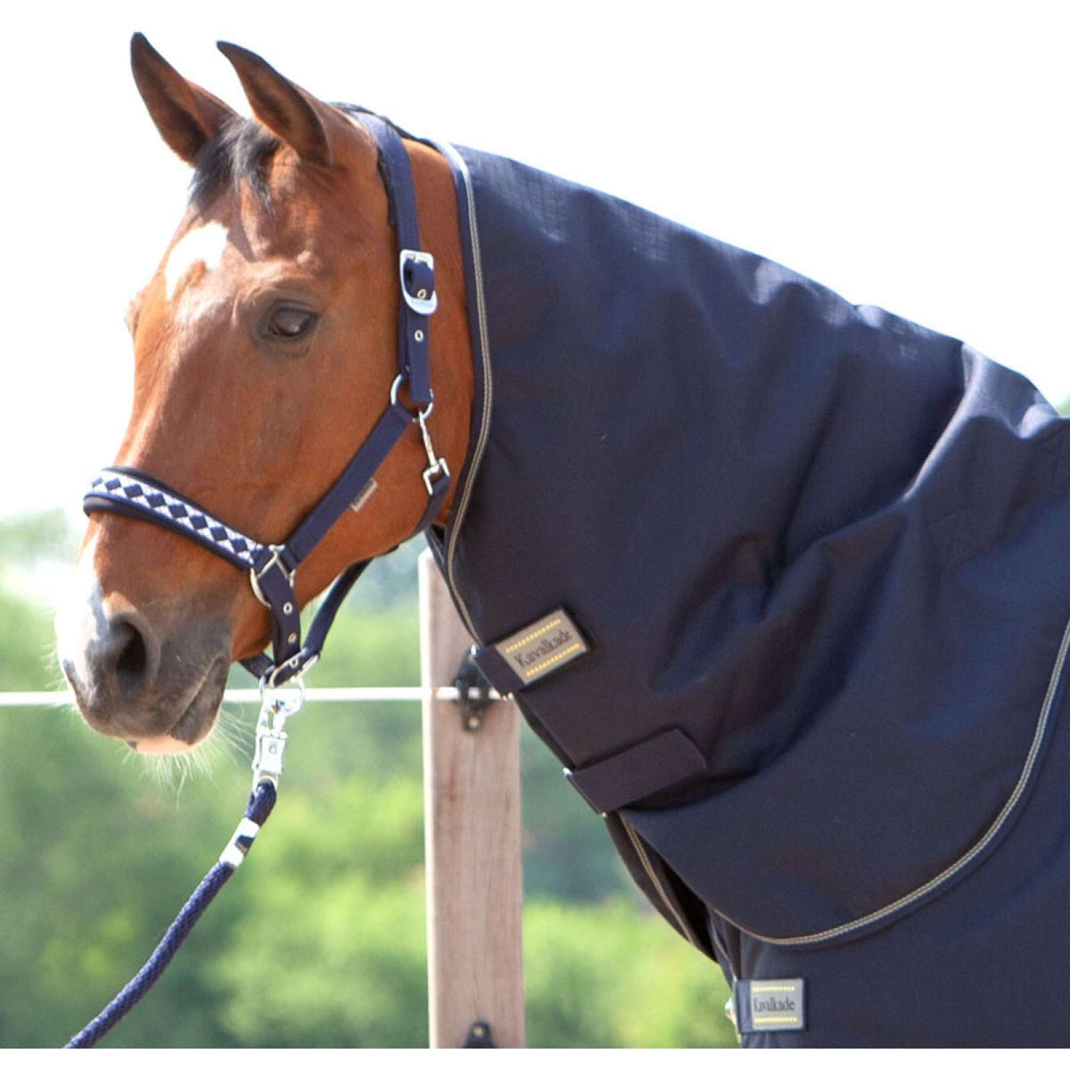 Kavalkade Cubrecuellos Montreal 100g Navy