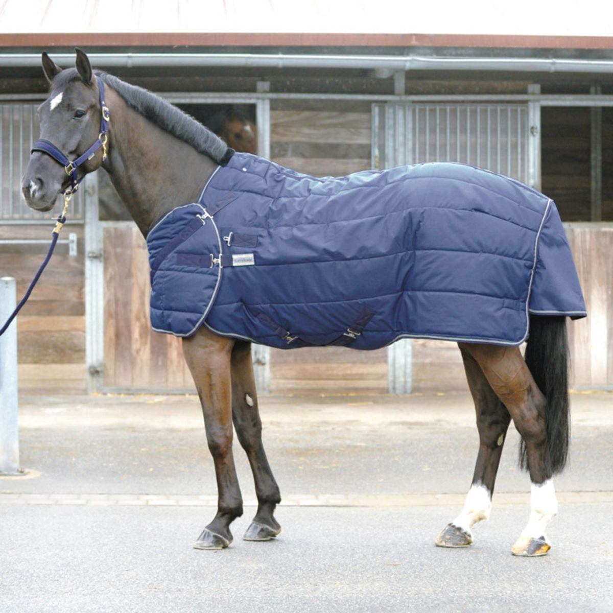 Kavalkade Manta Halifax 2en1 200g Marino