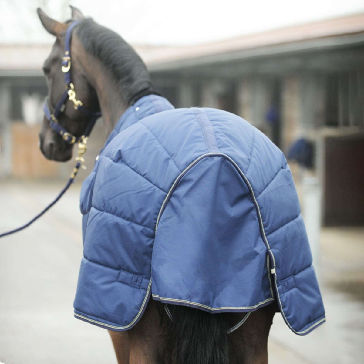 Kavalkade Manta Halifax 2en1 200g Marino