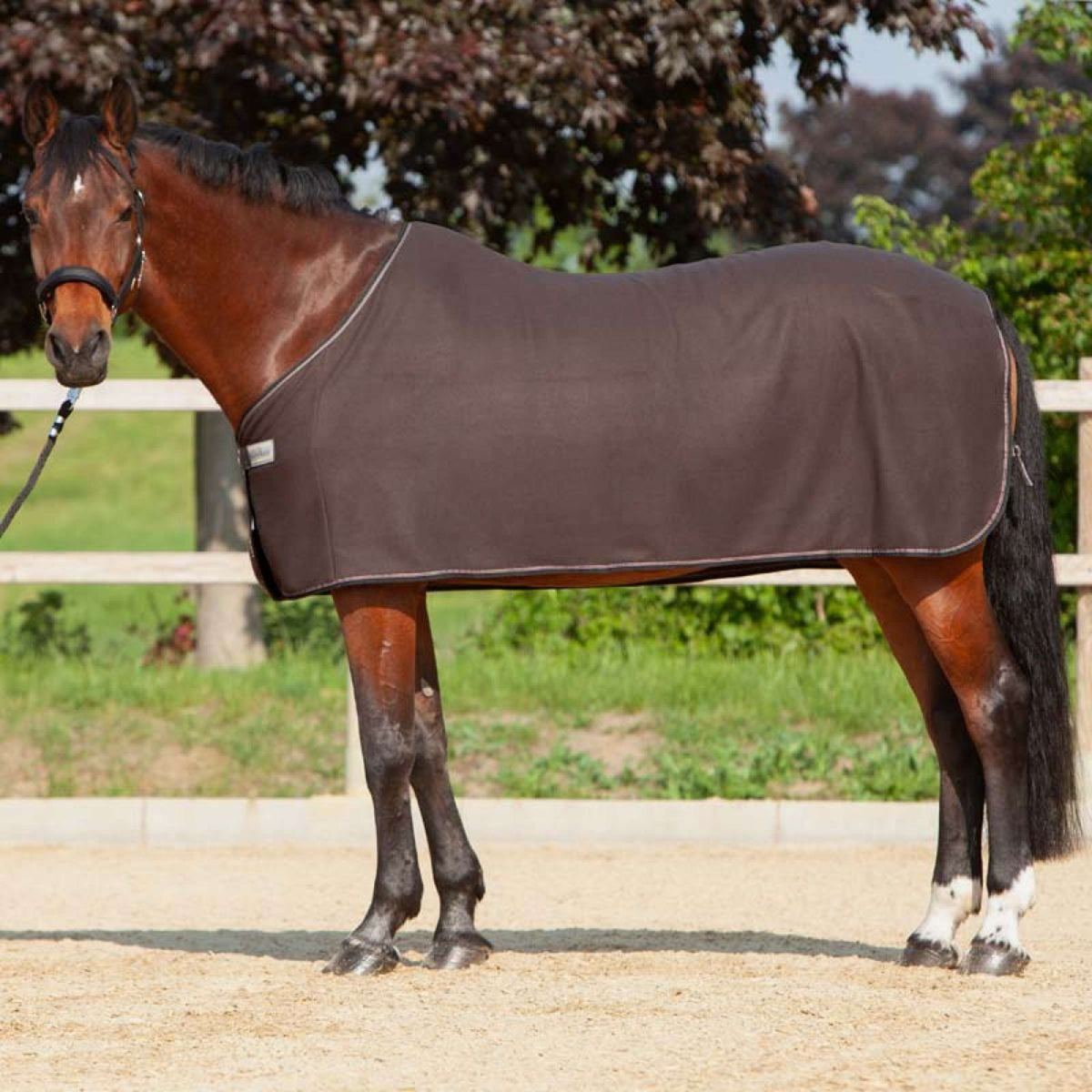 Kavalkade Manta para el sudor Ecoline Fleece Marron oscuro