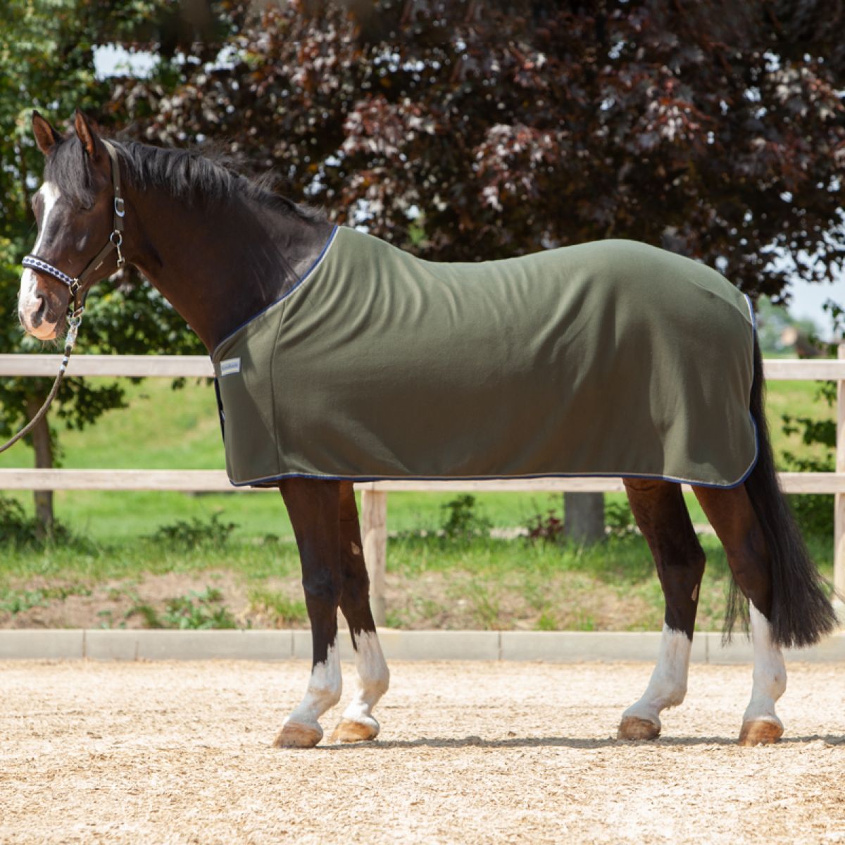Kavalkade Manta para el sudor Ecoline Fleece Verde abeto