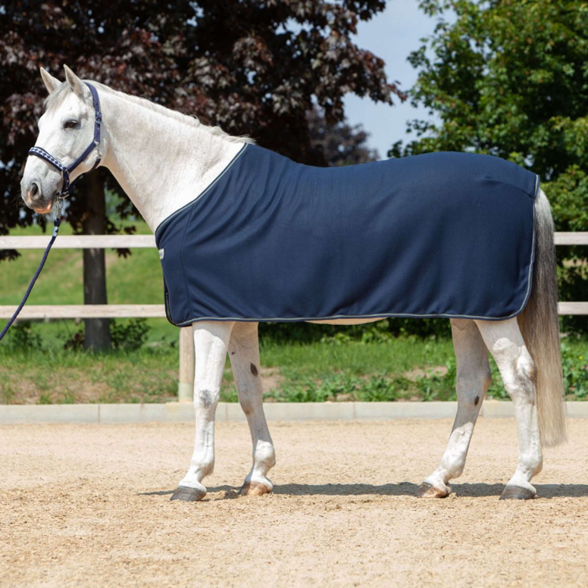 Kavalkade Manta para el sudor Ecoline Fleece Azul