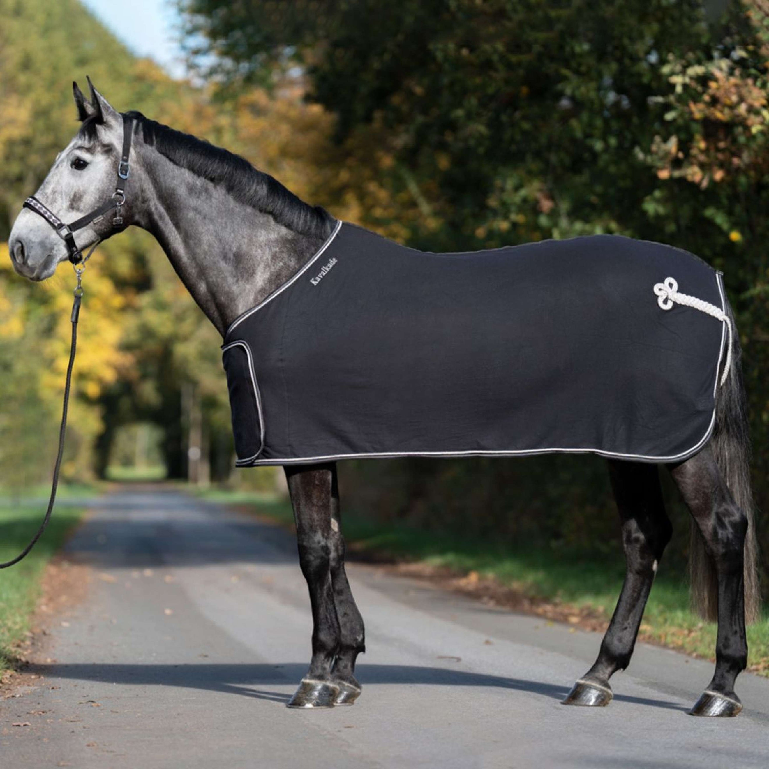 Kavalkade Cooler Removable Chest Flap Negro/Blanco