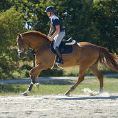 Kavalkade Botas de Equitación Maximus Negro