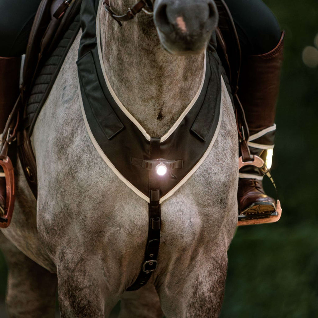 Kavalkade Arnés de Pecho Horselight Negro Gris