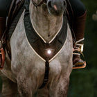 Kavalkade Arnés de Pecho Horselight Negro Gris