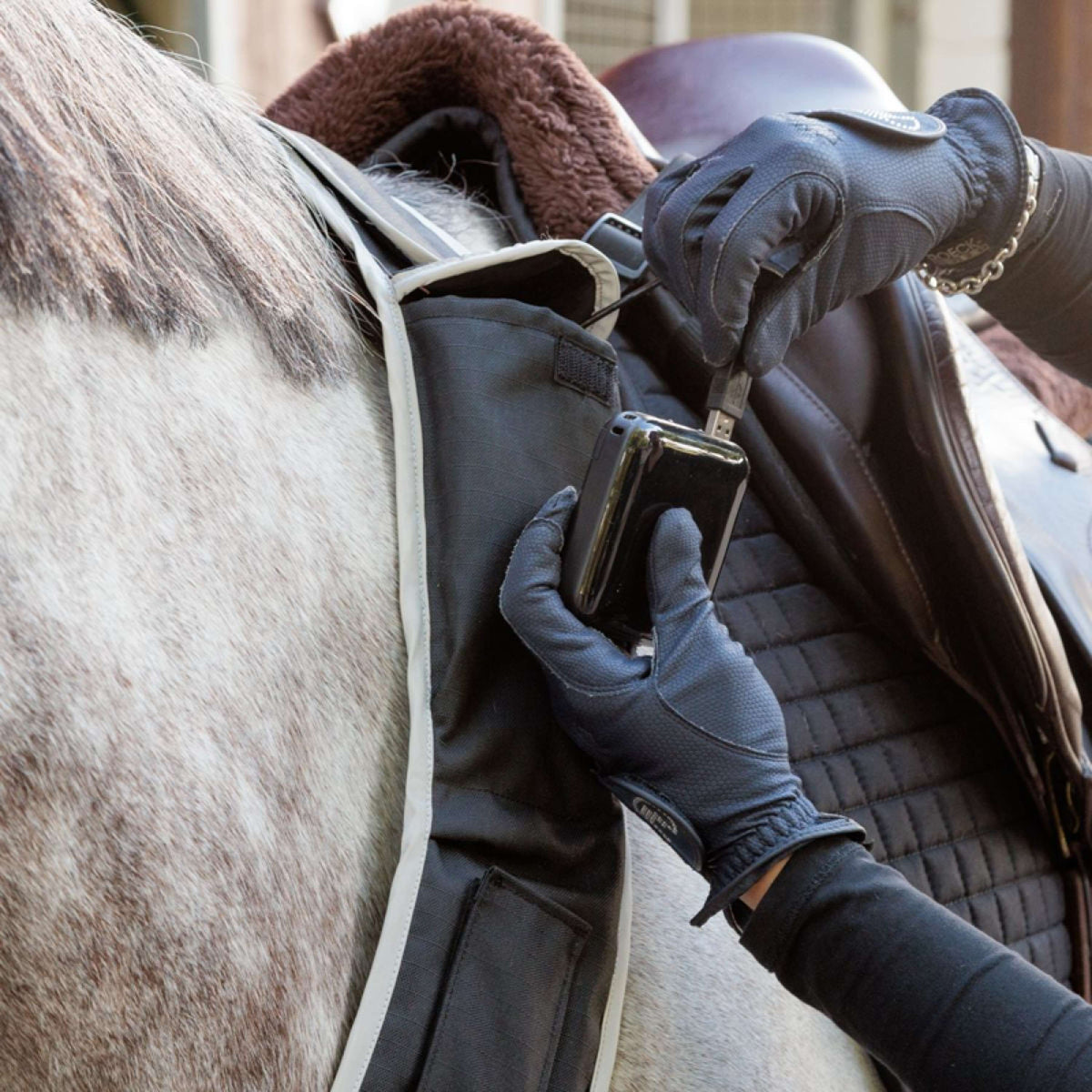 Kavalkade Arnés de Pecho Horselight Negro Gris