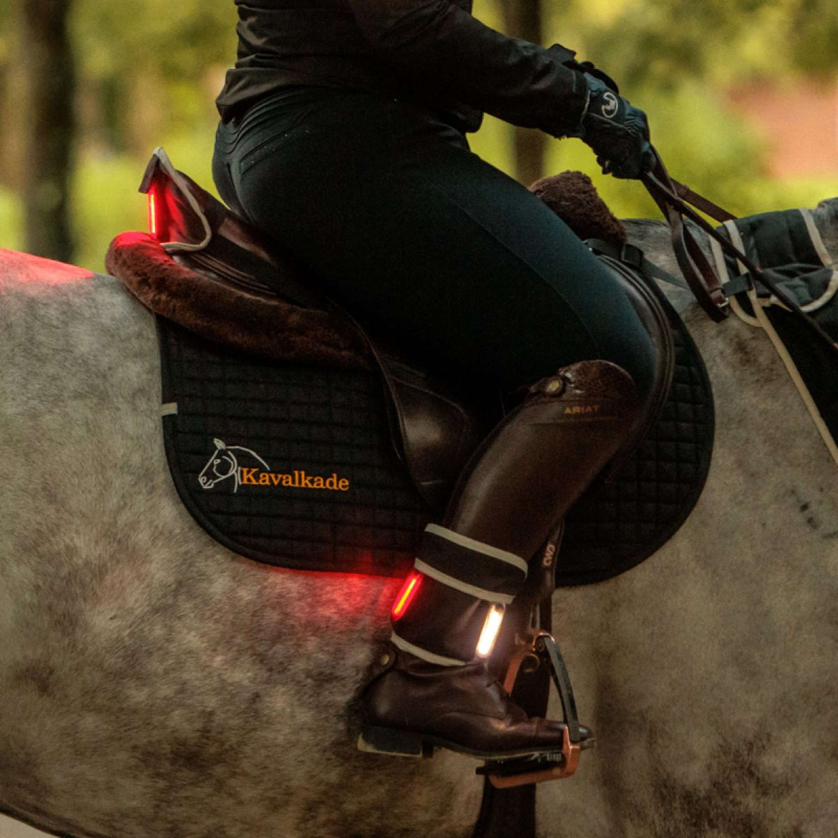 Kavalkade Coraza/Silla de montar/Pierna Horselight Negro Gris