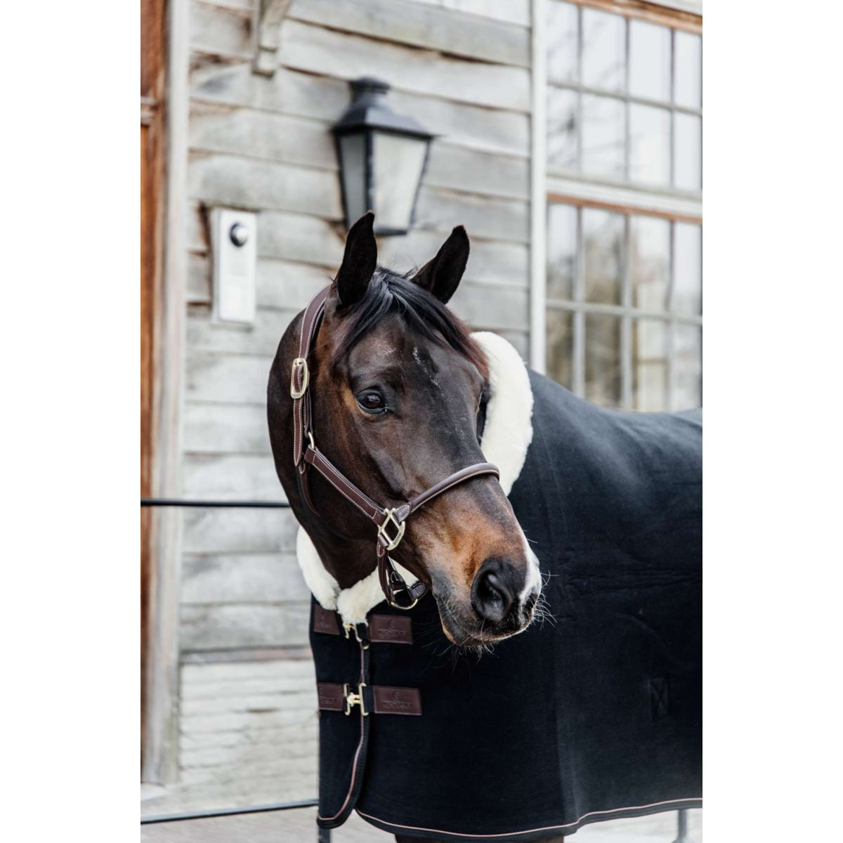 Kentucky Horsewear Manta para el sudor Show Fleece Heavy Negro