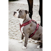 Kentucky Dogwear Arnés Active Velvet Bordeaux