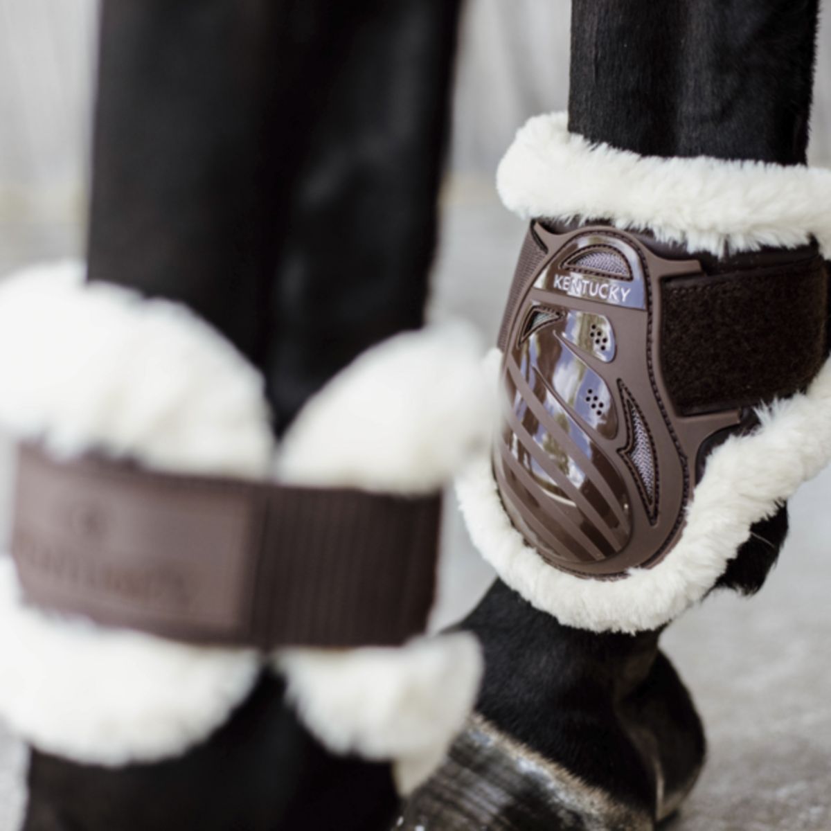 Kentucky Horsewear Botas para menudillo Young Horse Español (ES): piel de oveja vegana Marron