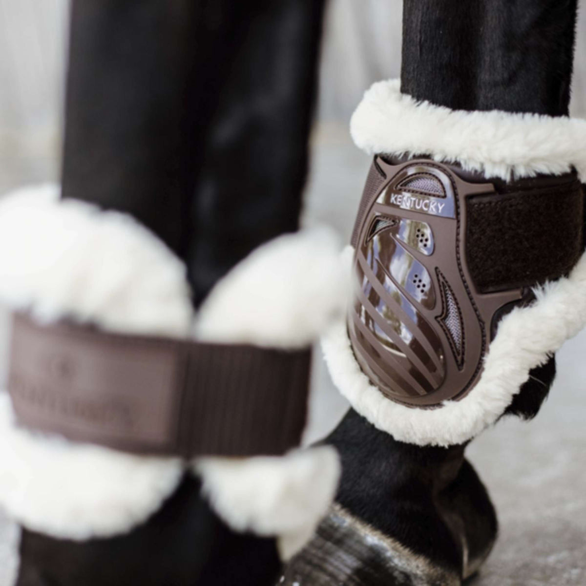 Kentucky Horsewear Botas para menudillo Young Horse Español (ES): piel de oveja vegana Marron