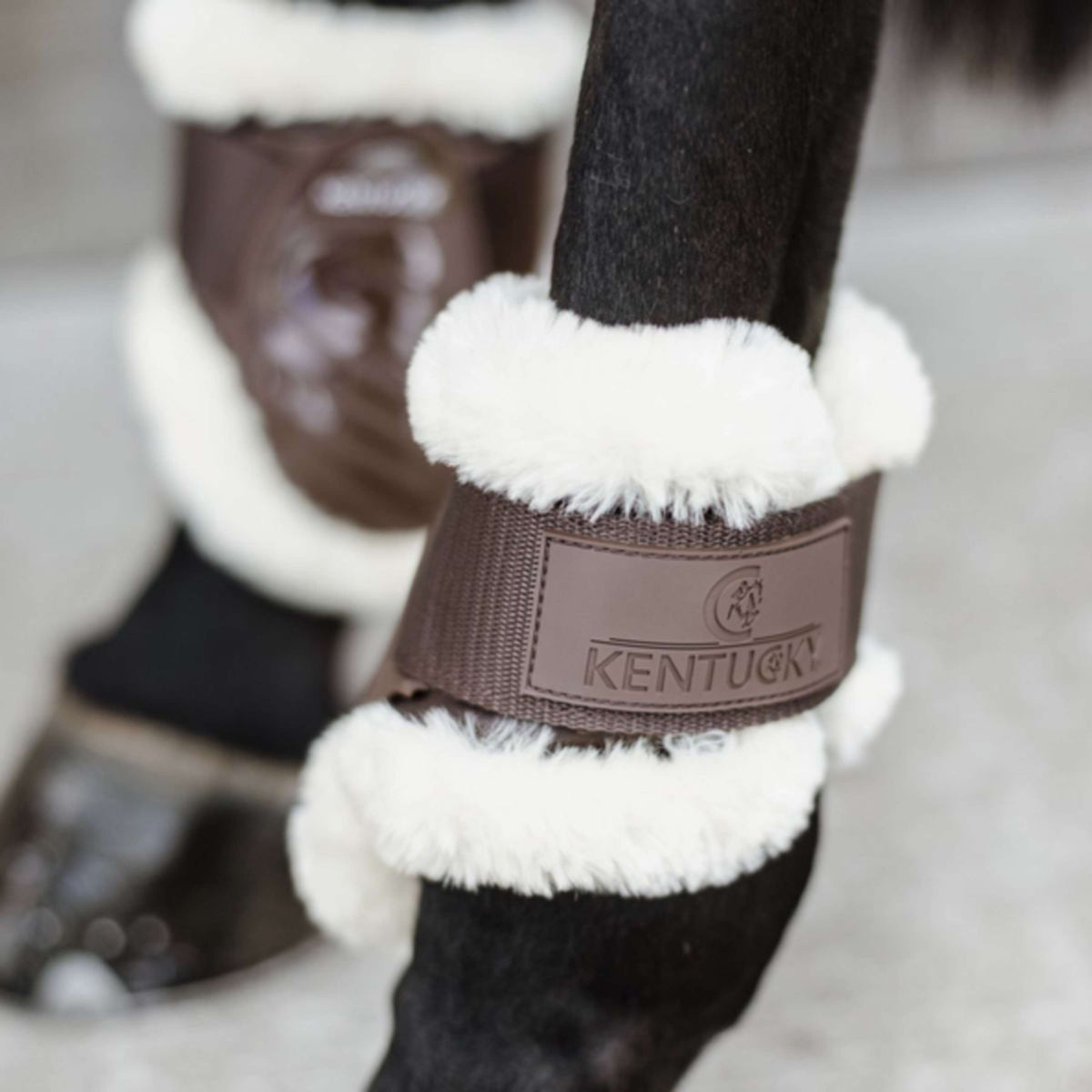 Kentucky Horsewear Botas para menudillo Young Horse Español (ES): piel de oveja vegana Marron