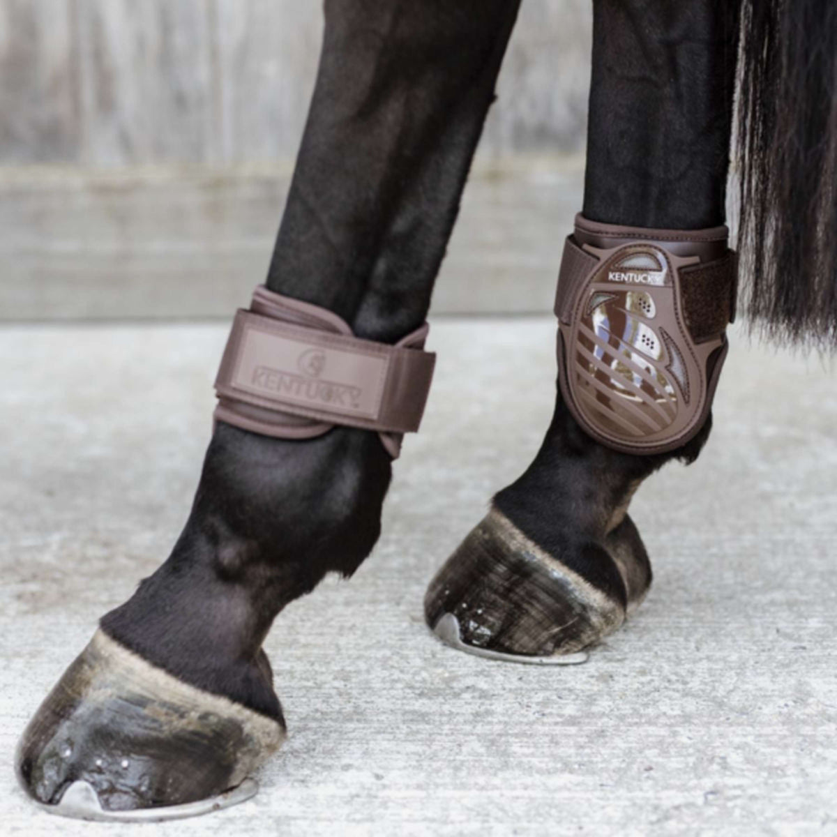 Kentucky Horsewear Botas para menudillo Young Horse Marron