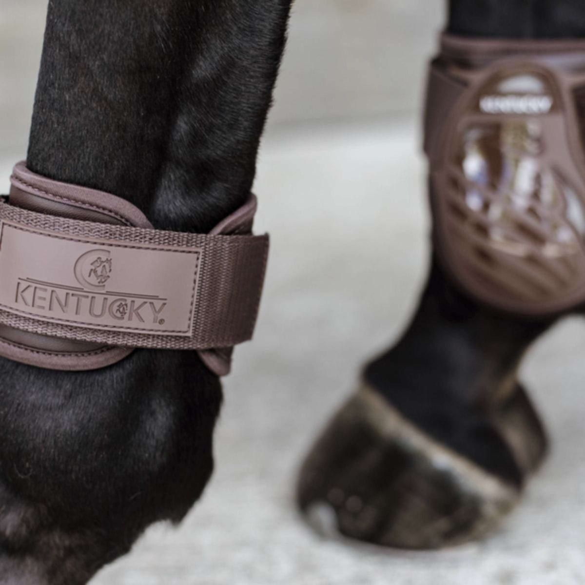Kentucky Horsewear Botas para menudillo Young Horse Marron