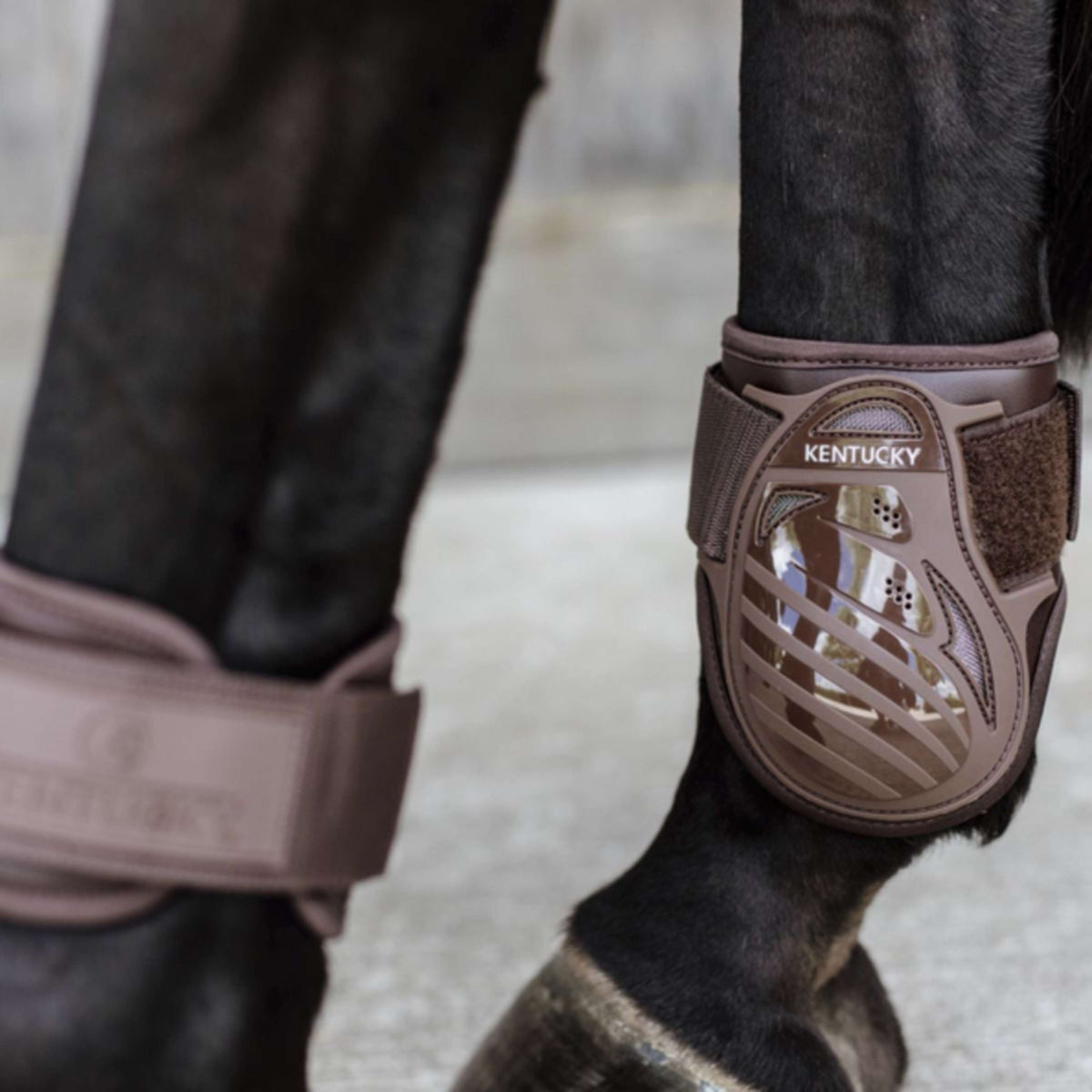 Kentucky Horsewear Botas para menudillo Young Horse Marron