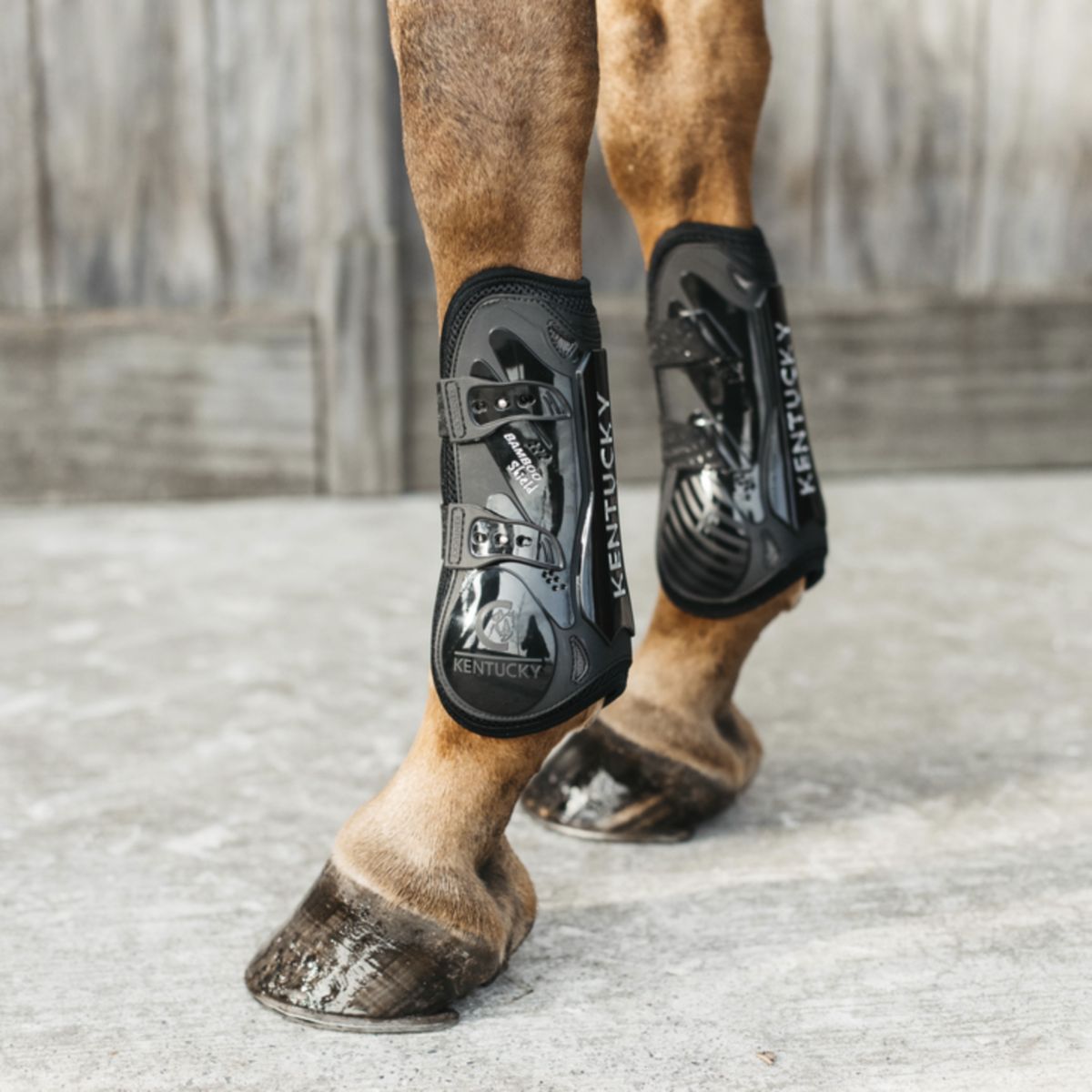 Kentucky Horsewear Botas para tendones Bamboo Elastic Negro