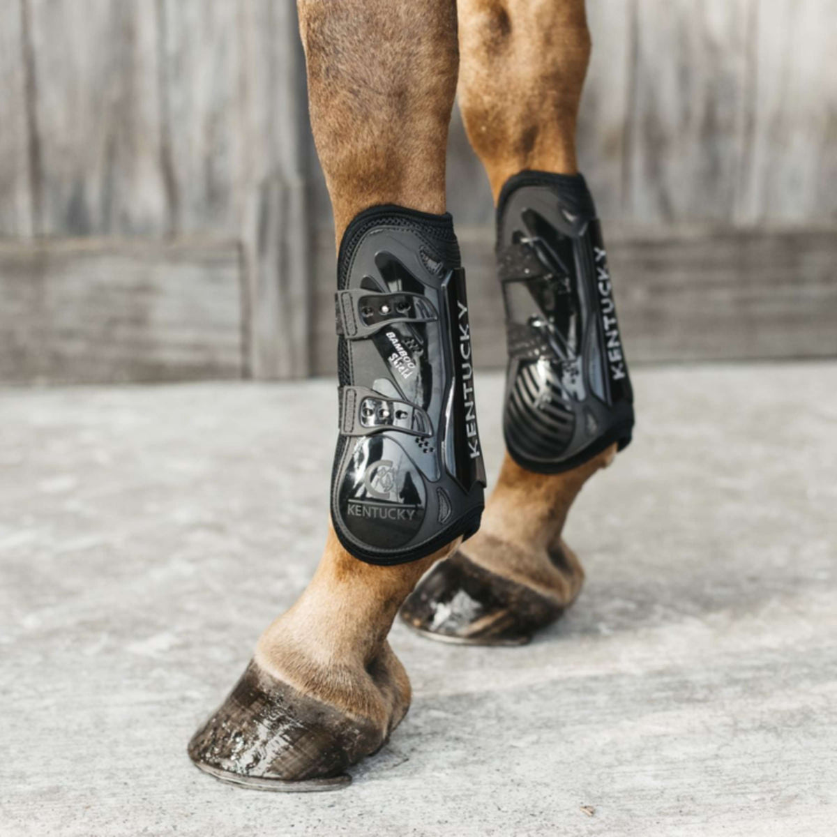 Kentucky Horsewear Botas para tendones Bamboo Elastic Negro