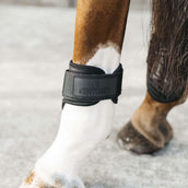 Kentucky Horsewear Botas para menudillo Young Horse Negro