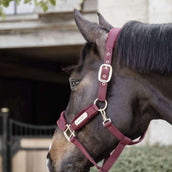 Kentucky Horsewear Cabezada Velvet Bordeaux