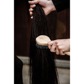 Kentucky Cepillo para Crin