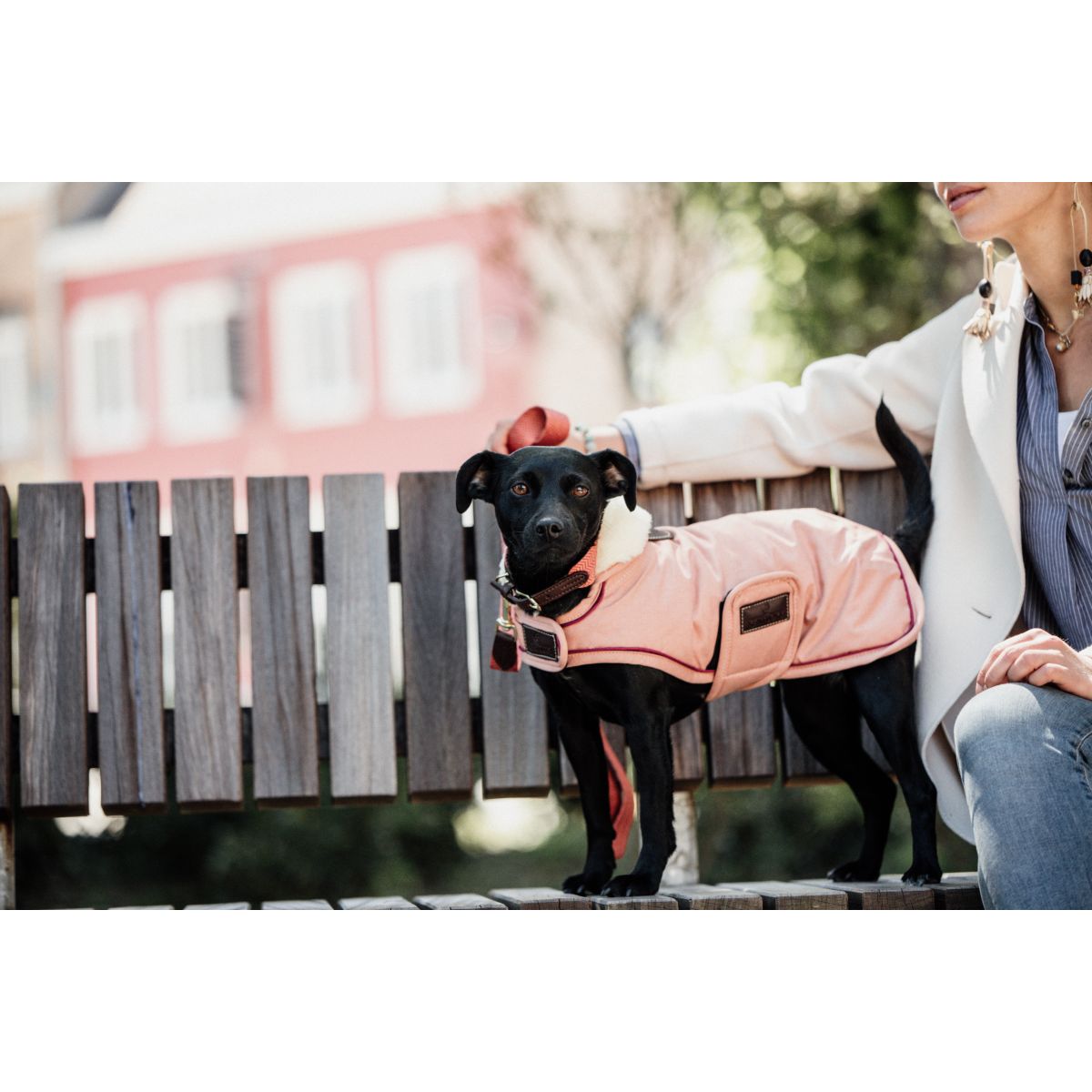 Kentucky Dogwear Abrigo para Perro Impermeable Coral