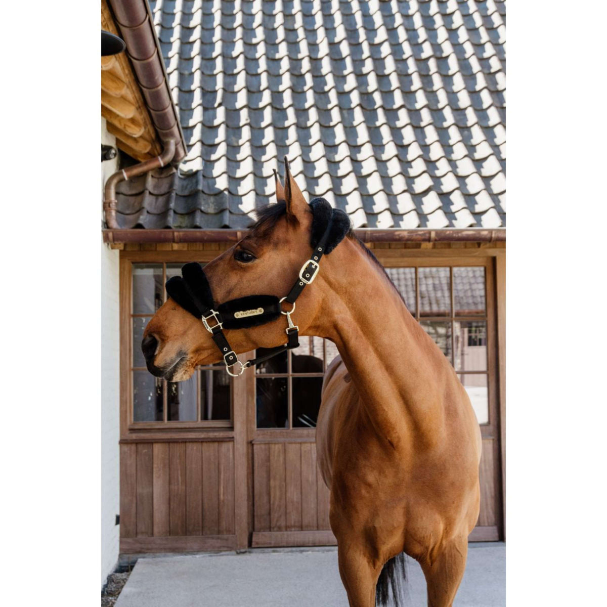 Kentucky Horsewear Cabezada Nylon Lana Suave Negro