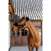 Kentucky Horsewear Cabezada Nylon Lana Suave Negro