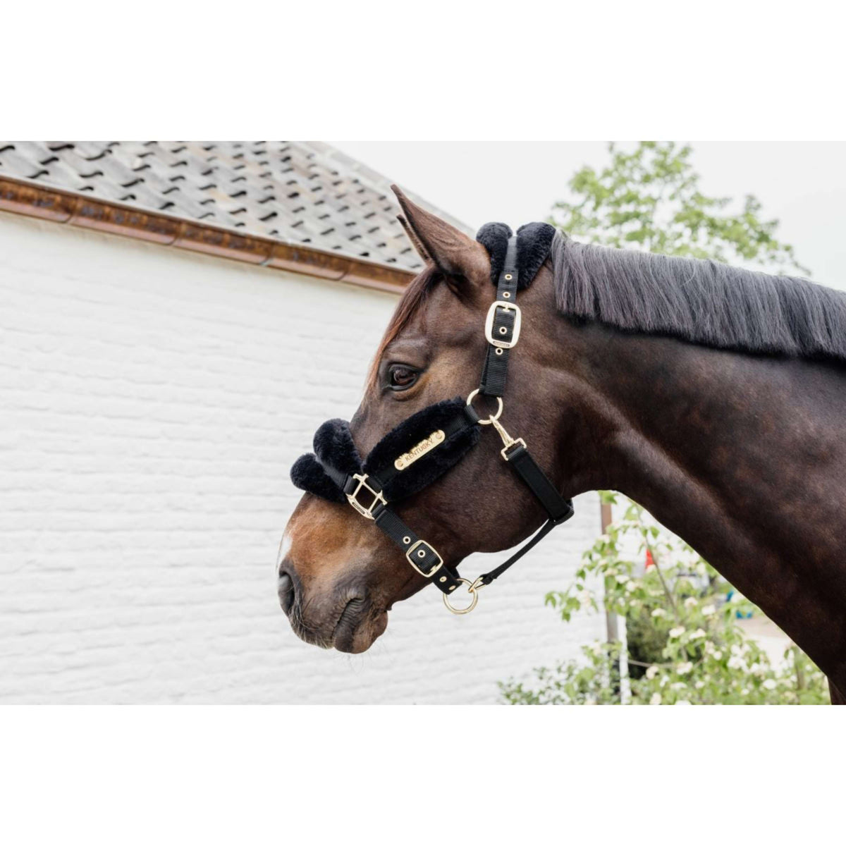 Kentucky Horsewear Cabezada Nylon Lana Suave Negro