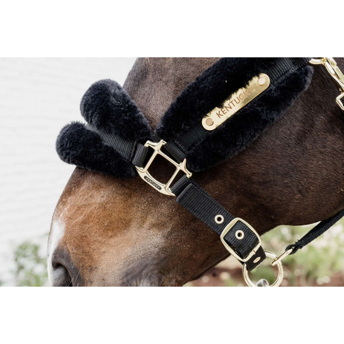 Kentucky Horsewear Cabezada Nylon Lana Suave Negro