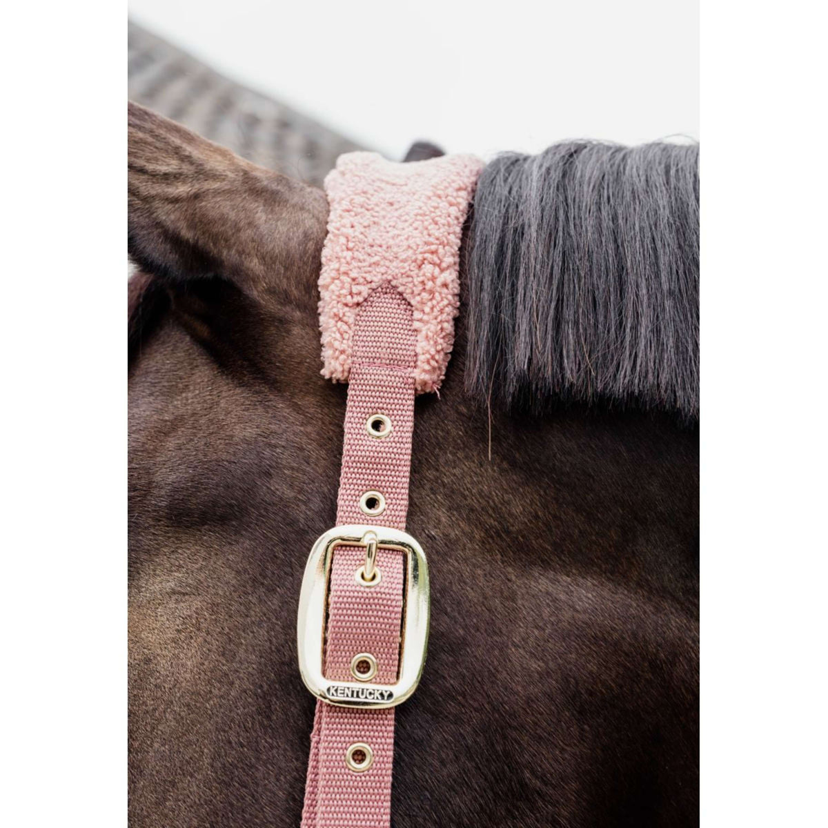 Kentucky Horsewear Cabezada Teddy Fleece Rosa Viejo