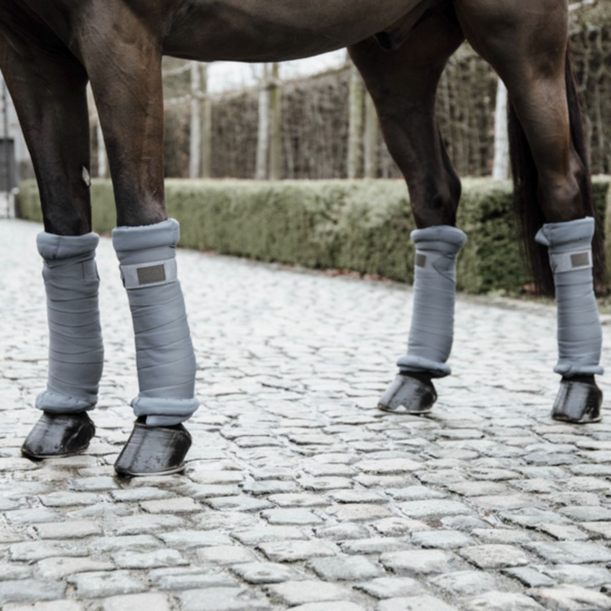 Kentucky Horsewear Vendas Establo Gris