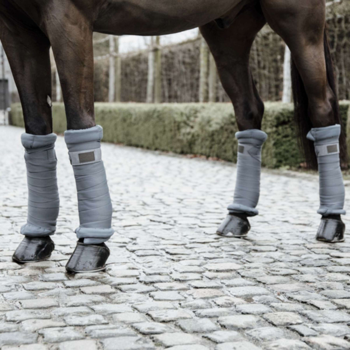 Kentucky Horsewear Vendas Establo Gris