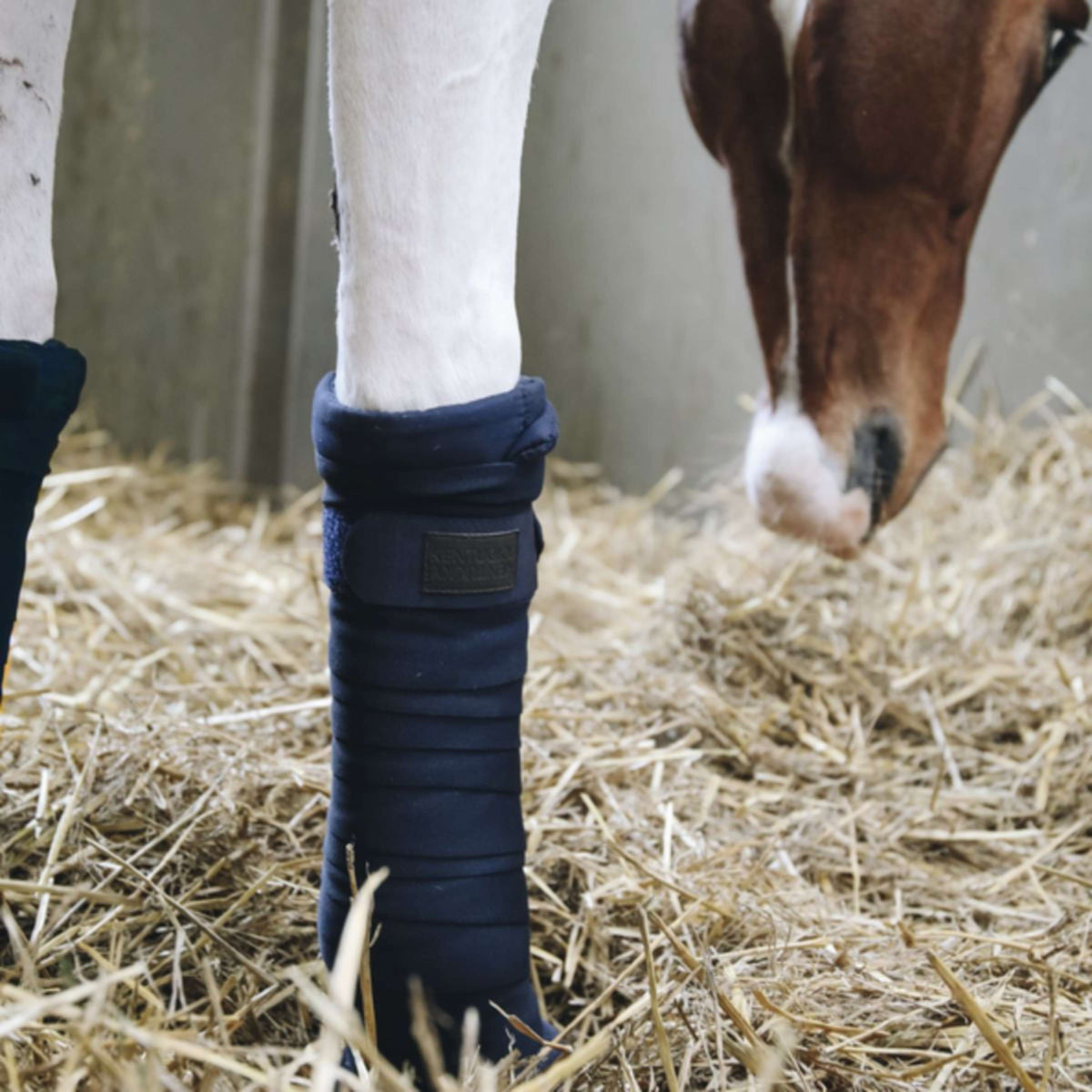 Kentucky Horsewear Vendas Establo Repelente Navy