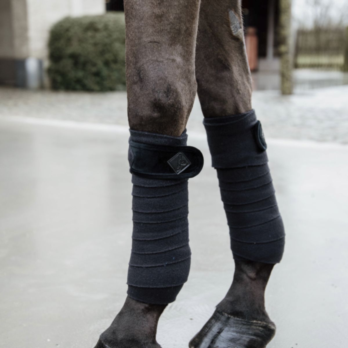 Kentucky Vendas Básicas de Terciopelo y Forro Polar Negro