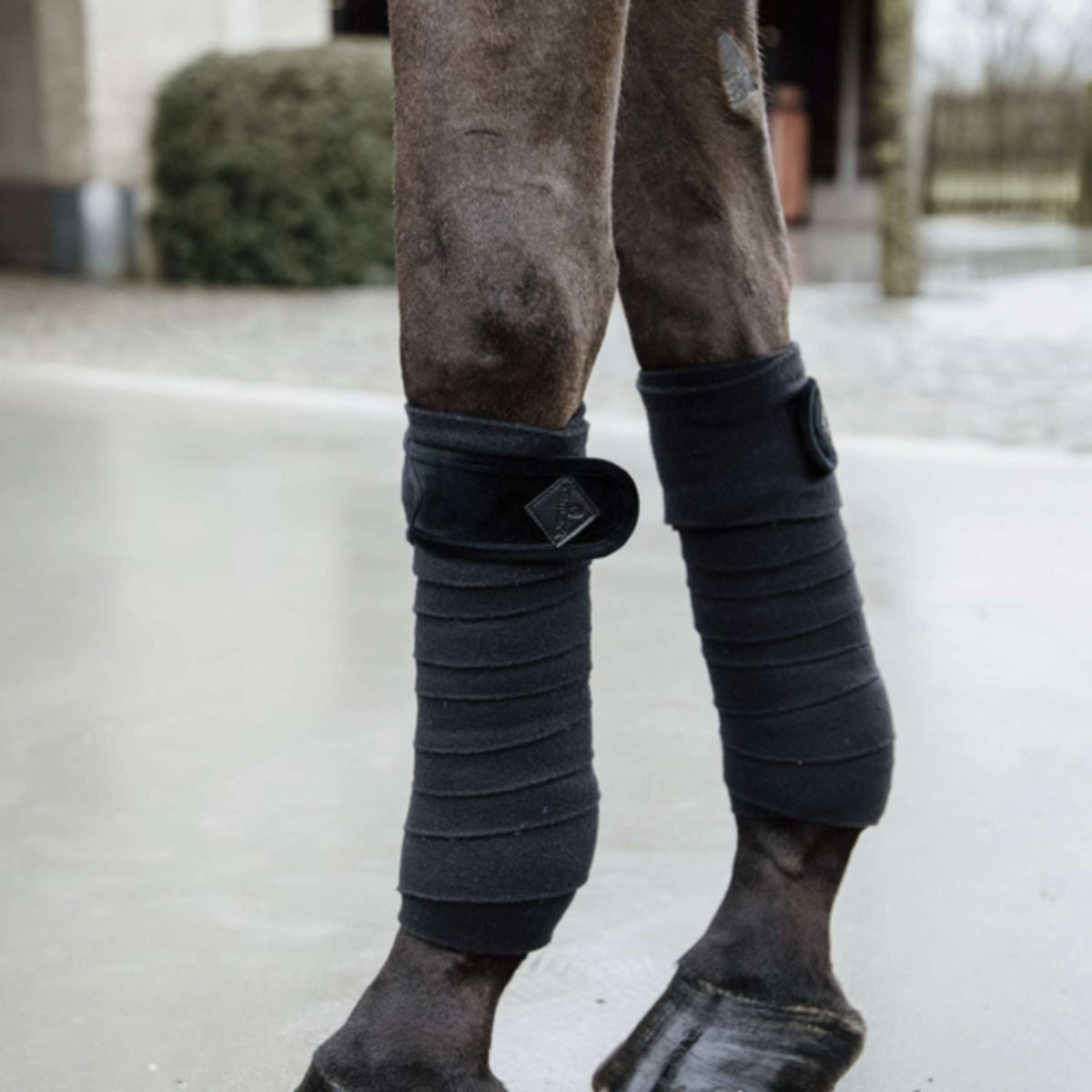 Kentucky Vendas Básicas de Terciopelo y Forro Polar Negro
