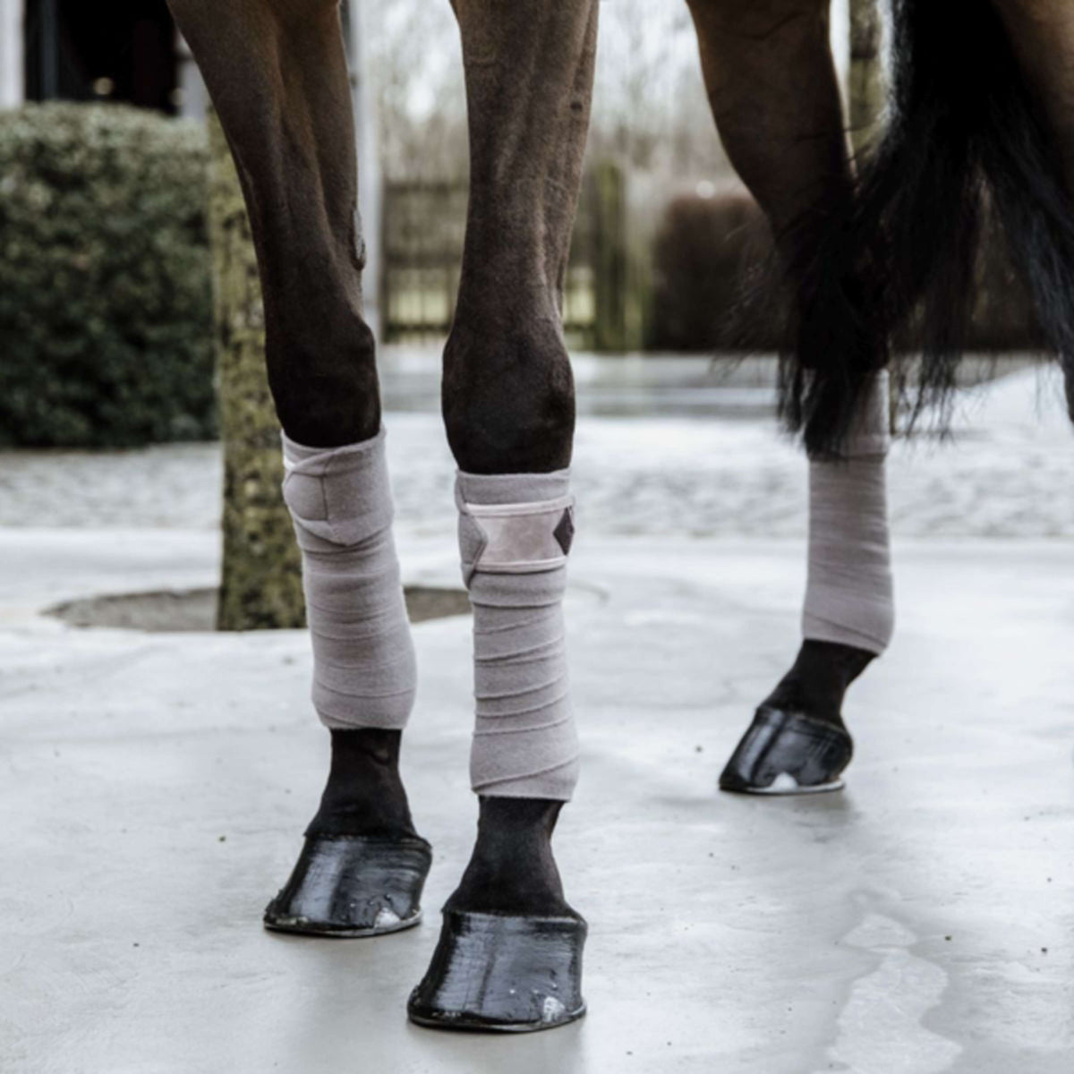 Kentucky Vendas Básicas de Terciopelo y Forro Polar Beige