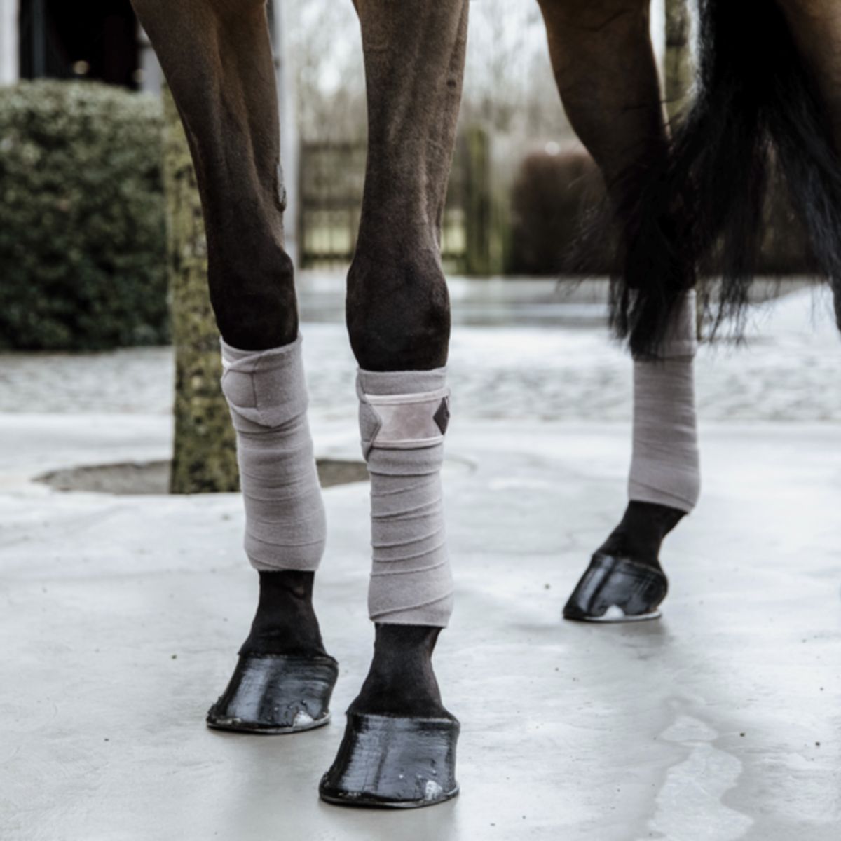 Kentucky Vendas Básicas de Terciopelo y Forro Polar Beige