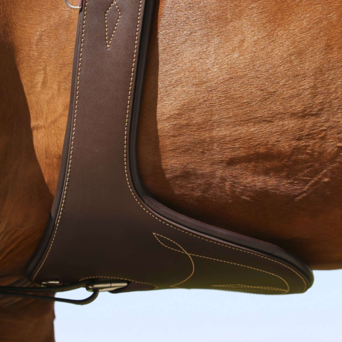 Kentucky Horsewear Cincha de Salto Marron