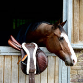 Kentucky Horsewear Cincha de Salto Marron