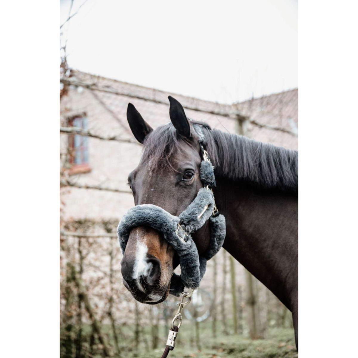 Kentucky Horsewear Cabezada Sheepskin Gris
